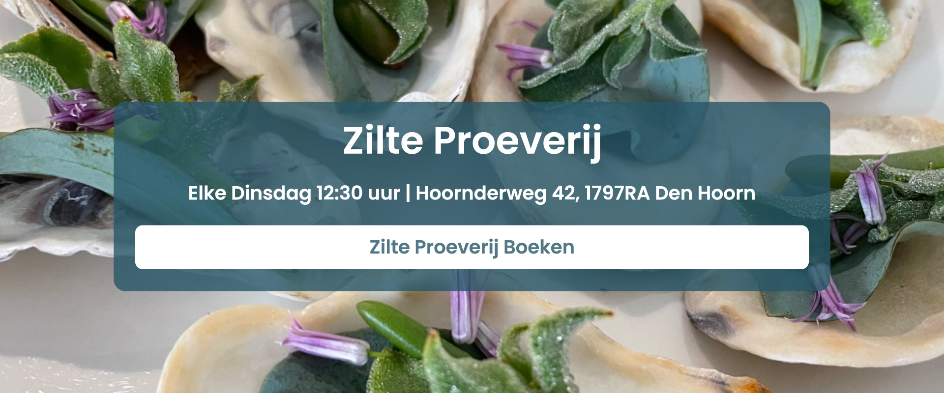 Zilte Proeverij Boeken