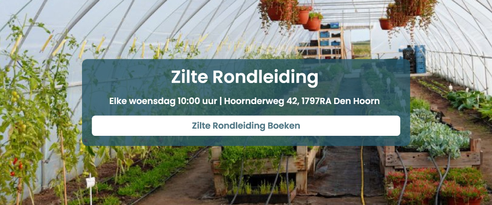 Zilte Rondleiding Boeken
