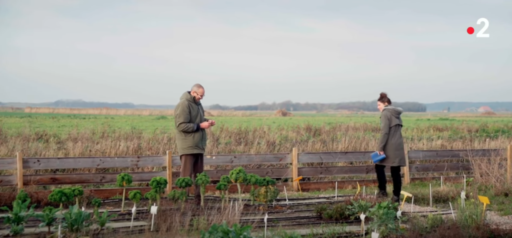 Salt Farm Texel op Franse tv