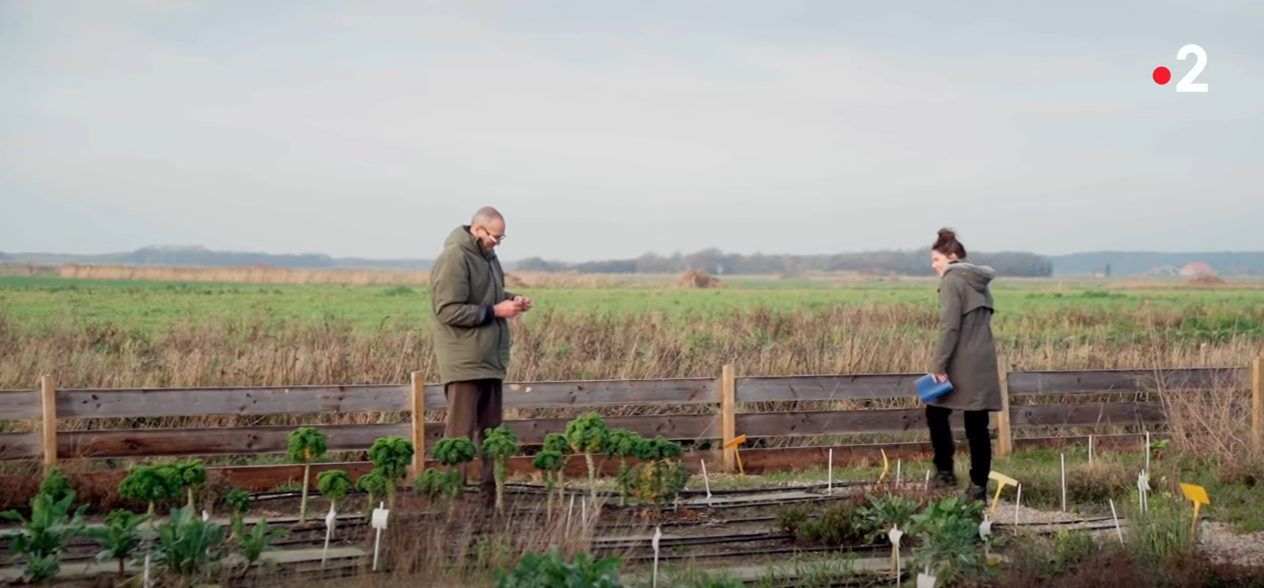 Salt Farm Texel op Franse tv Salt Farm Texel op Franse tv