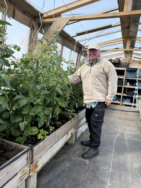 Tommy bij de zilte tomaten planten