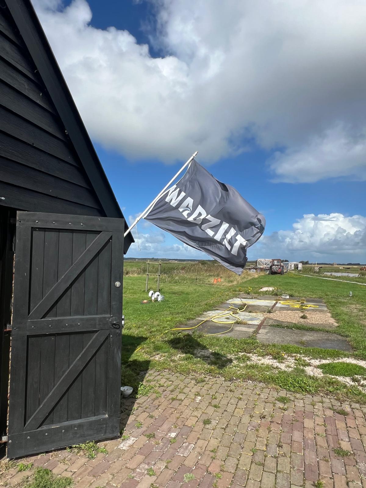 wadzilt flag