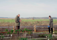 Salt Farm Texel op Franse tv